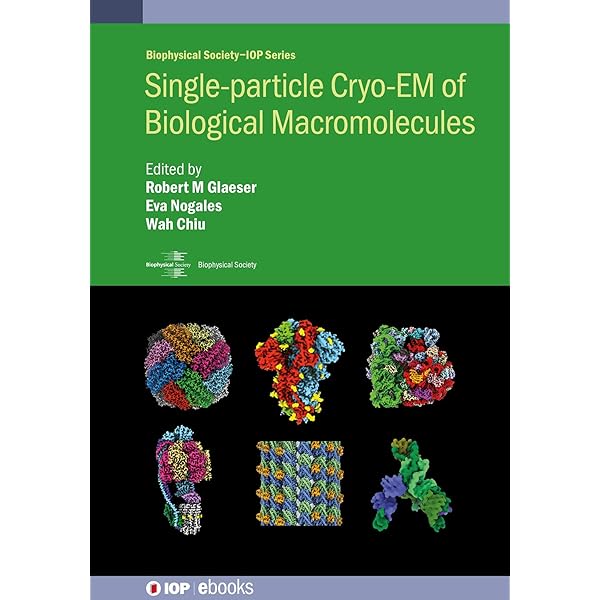 Biomolecular Crystallography: Principles, Practice, and