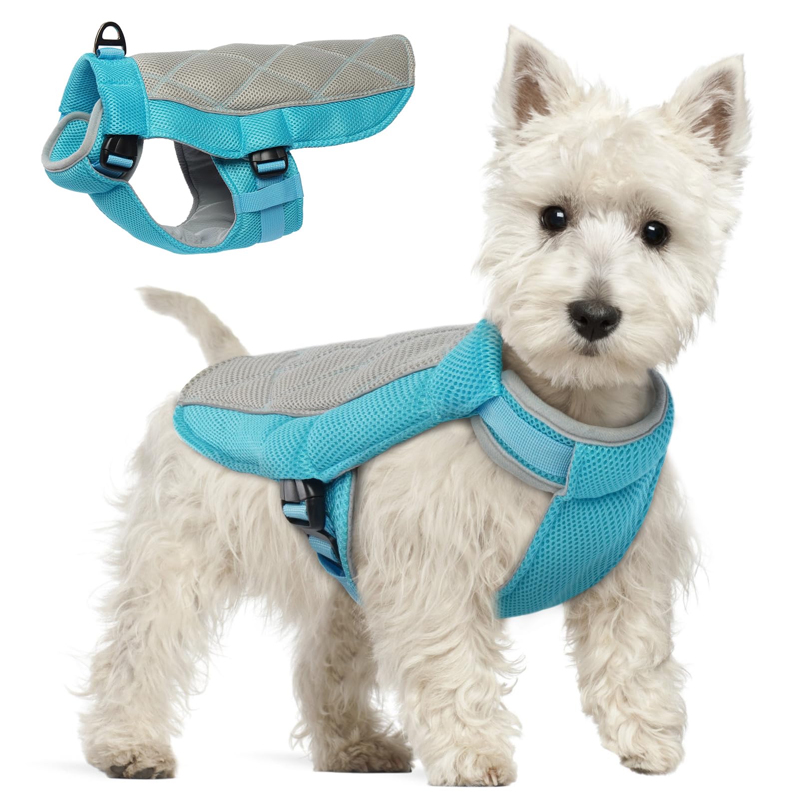 Dog Cooling Vest, Summer Dog Cooling Coat with Adjustable Neck and Tummy, Summer Cool Jacket with with Harness, Longer Coolness for Walks, Hikes, Beach Trips, Blue XS