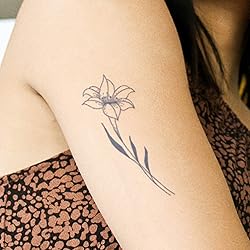 Inkbox Temporary Tattoos, Semi-Permanent