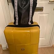 tripp honey suitcase