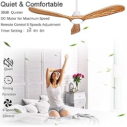 Ceiling Fans with Lights and Remote,60 Inch Unique