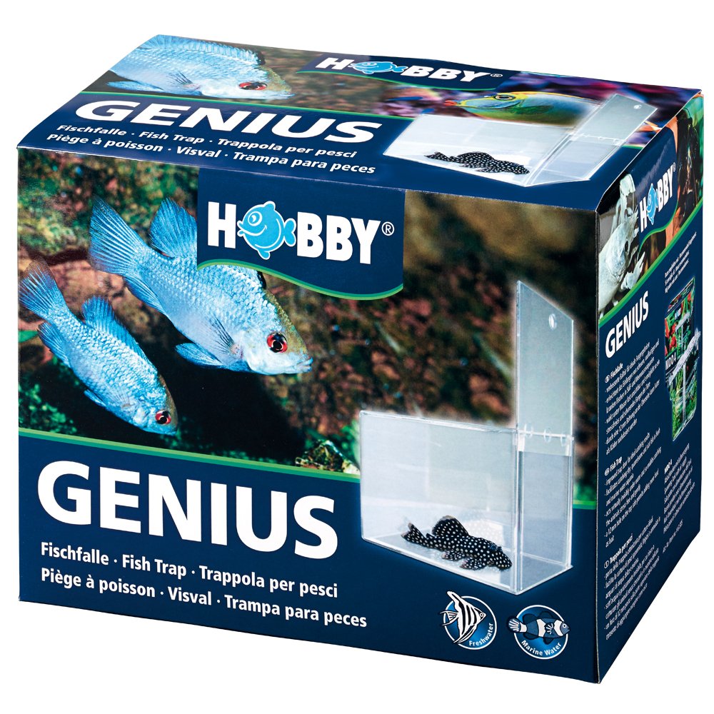 Hobby Genius 61340 Fish Trap, 21 x 13 x 15 cm