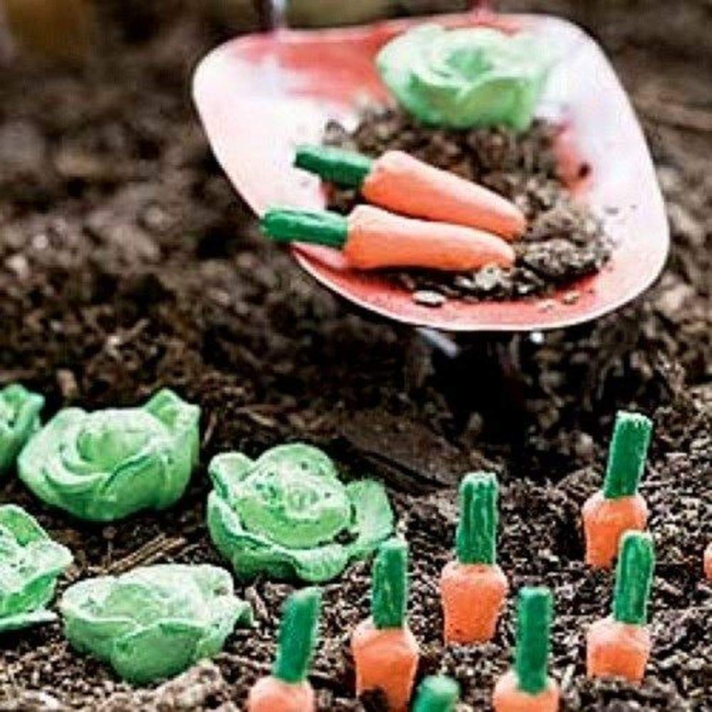 Best Garden Gnome Wizard