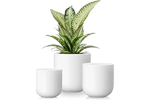 vancasso Ceramic Plant Pots, 4+5+6 inches, Set of 3, Planters with Drainage Hole, Flower Pots Planters Pots for Indoor Plants, Modern Indoor Decorative Garden Pot, Home Decor, White