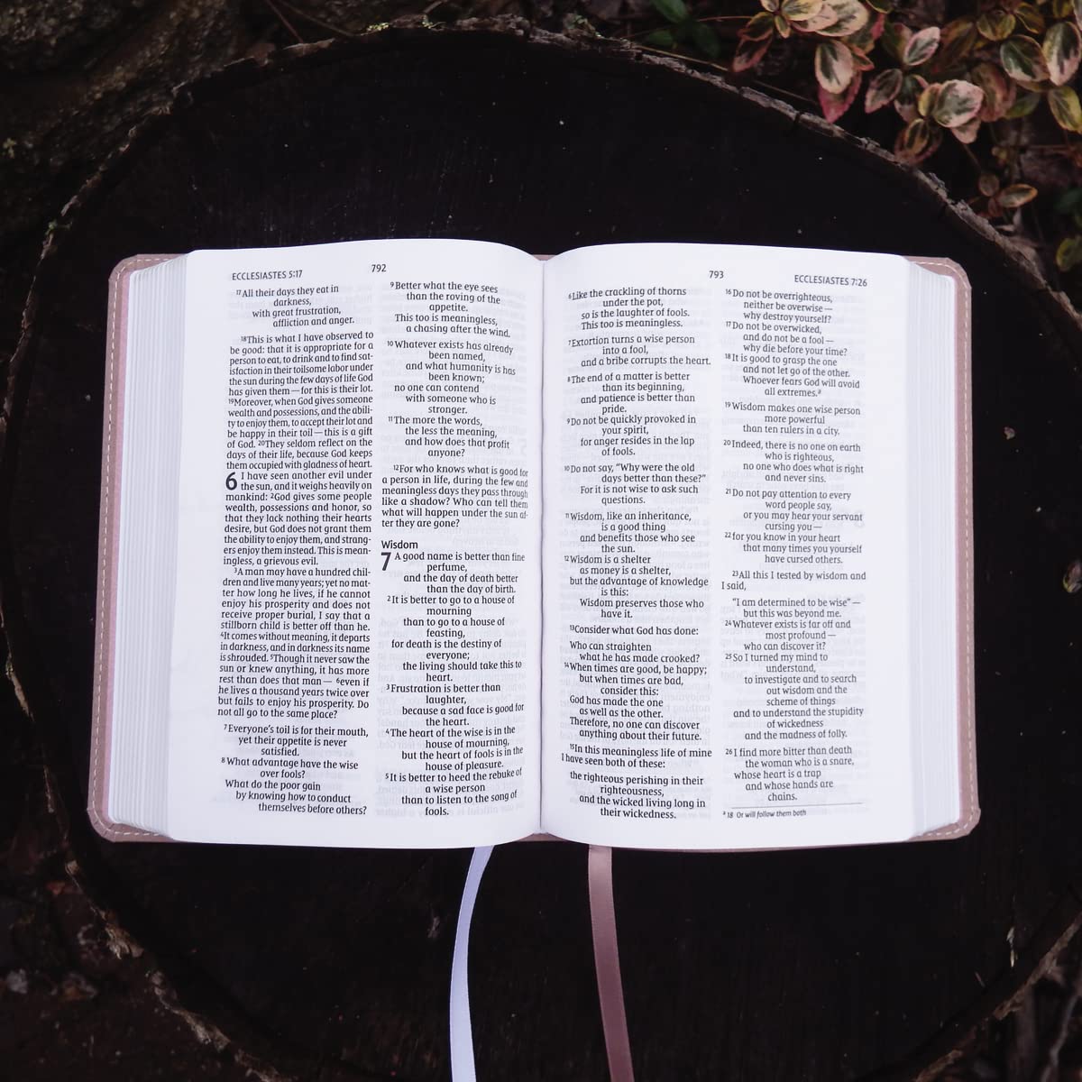 NIV, Larger Print Compact Bible(8.5-Point Print Size), Leathersoft, Pink, Red Letter, Comfort Print NIV, Larger Print Compact Bible(8.5-Point Print Size), Leathersoft, Pink, Red Letter, Comfort Print Imitation Leather