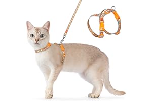 Dooradar Cat Harness and Leash, Escape Proof Adjustable Kitten Vest, Lightweight Soft Pet Straps, Easy Wearing for Small Medium Kitty Safe Walking Travel Control, Multicolor, M