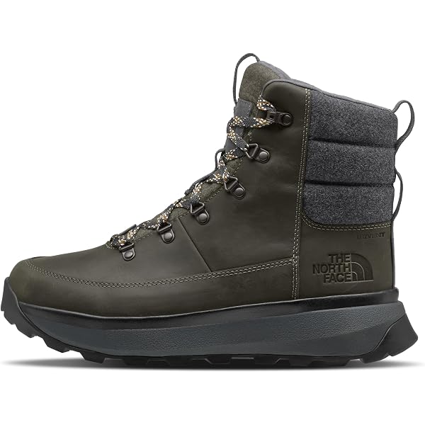 The North Face Men display picture 1