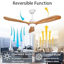 Ceiling Fans with Lights and Remote,60 Inch Unique