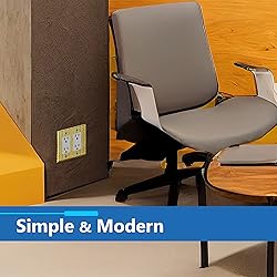 LIDER Dual Decorator Switch or Receptacle Metal