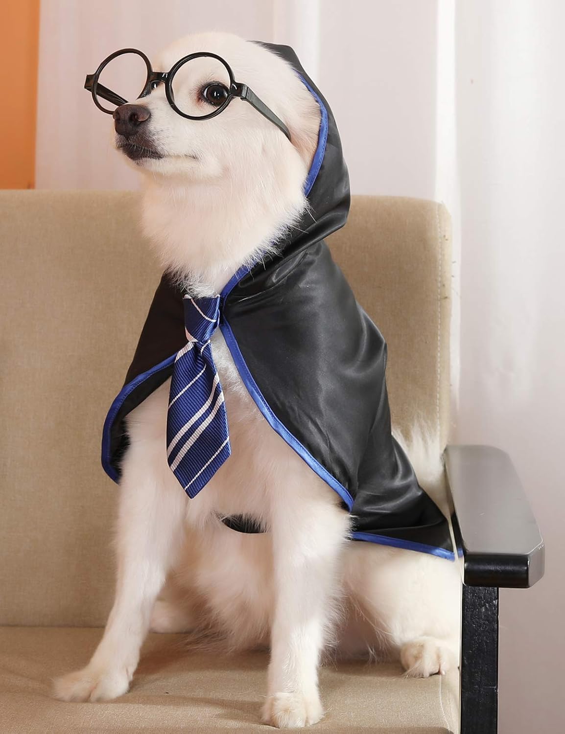 dog clothes for large dogs on Apparel Accessories Coomour Dog Halloween Wizard Cosutme Pet Cat Puppy Cute Outfits Clothes For Small Medium Large Dogs Cats Shirt With Glasses Costumes