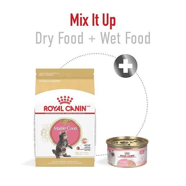 ROYAL CANIN FELINE BREED NUTRITION PERSIAN KITTEN DRY CAT FOOD, 3 LB BAG