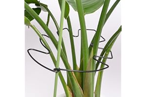 Yohsnor 5PCS Black Monstera Plant Stem Support 9x7.6in - Adjustable & Durable Indoor Plant Stake for Cactus and Climbing Plants - Ideal Leaf Support for Gardening & Home Decor