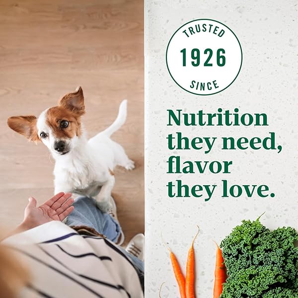 NUTRO ULTRA ADULT TOY BREED DRY DOG FOOD, SMALL DOG FOOD DRY CHICKEN, LAMB AND SALMON RECIPE WITH A PROTEIN TRIO, 3.5 LB. BAG