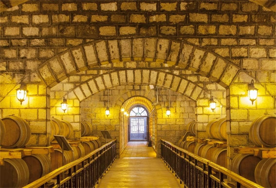 Best Wine Cellar Equipment