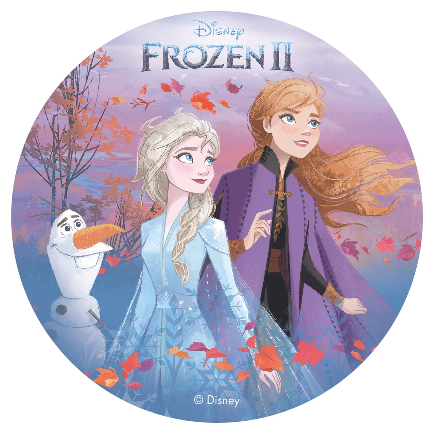 Dekora 114382 Disney Frozen 2 Fans Edible Wafer Cake Topper, 20 cm 8 inch