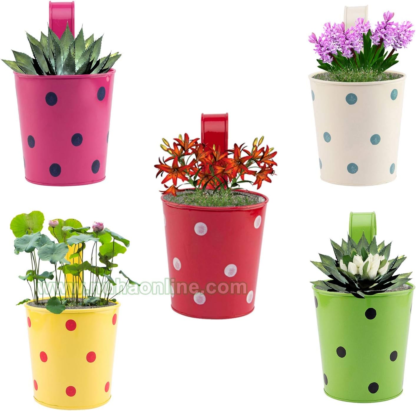 Nuha Metal Railing Planter, Multicolour, 15 x 16.5 cm, 5 Pieces