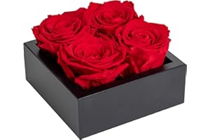 Khiva Graduation Preserved Roses in Wood Box, 4 Red Birthday Flowers for Delivery Prime, Everlasting Flowers, Natural Forever Roses That Last for Years, Eternal Rose, Gift Delivery for Mom
