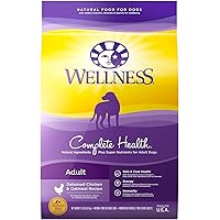 dog food for sale online