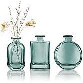 Joeyan Green Glass Bud Vase Set of 3 - Decorative Rustic Flower Vase - Small Bottle Vase Centerpieces for Wedding, Home, Office, Table Décor