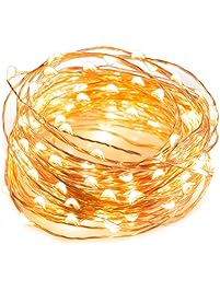 TaoTronics LED String Lights 33 ft with 100 LEDs, Waterproof Outdoor & Indoor Decorative Lights for Bedroom, Garden, Patio, Parties. UL588 and TUVus Approved (Copper Wire Lights, Warm White)