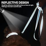 Joytale Padded Handle Dog Lead Double-Sided Reflective Nylon 1.2m SkyBlue view 4