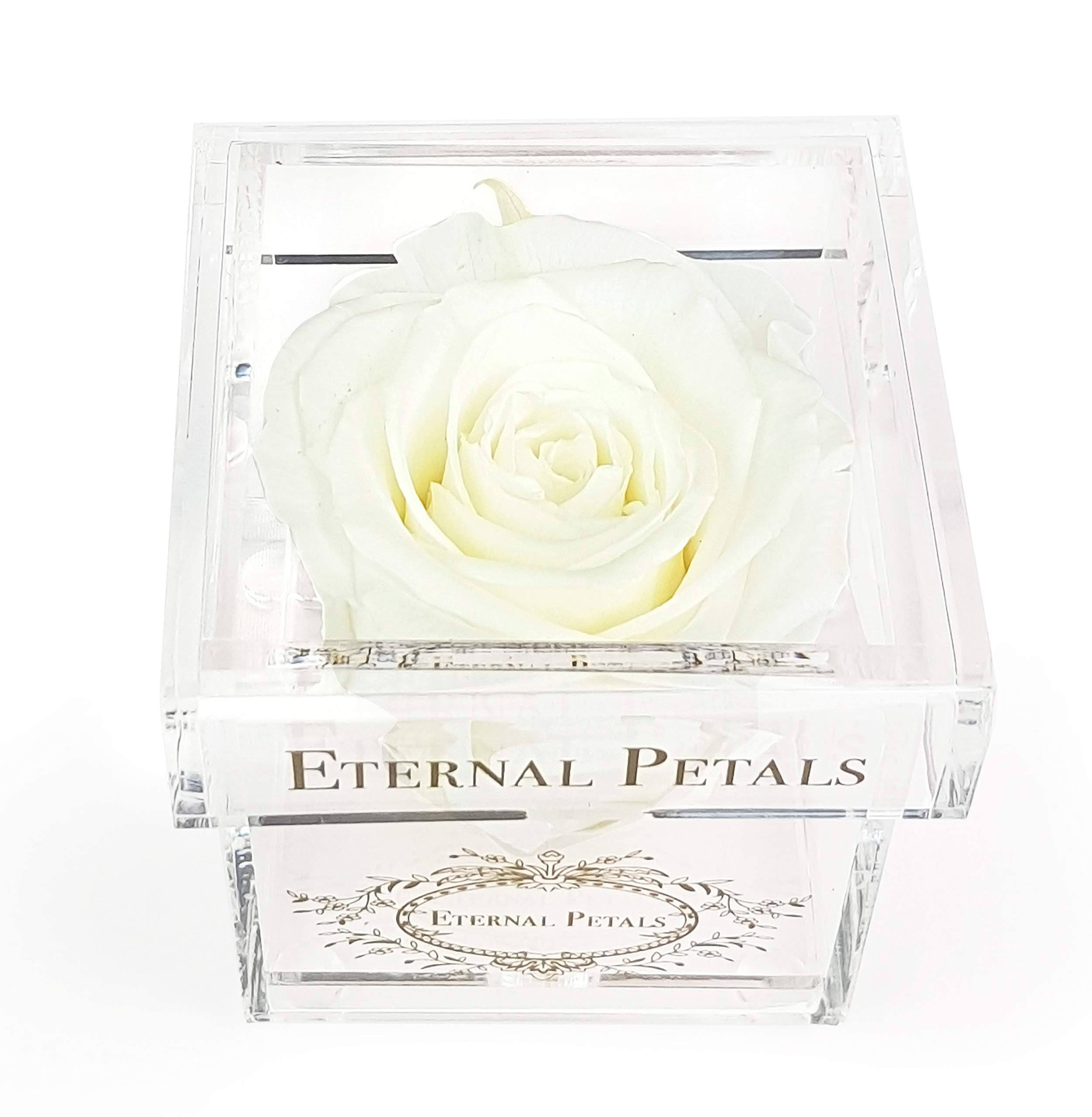 Solo Rose Single Rose in Box One Year Rose Gift Rose in A Box