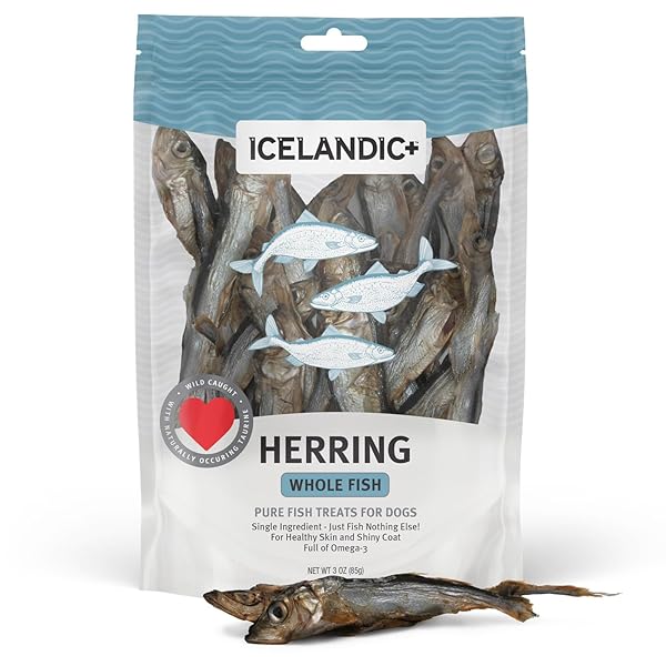 ICELANDIC+ WHOLE FISH HERRING – 3OZ BAG – DOG TREATS, PURE WILD-CAUGHT & AIR-DRIED, SINGLE INGREDIENT SNACK, PET CHEW, JUST THE FISH NOTHING ELSE