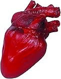 Loftus International Bloody Realistic Heart