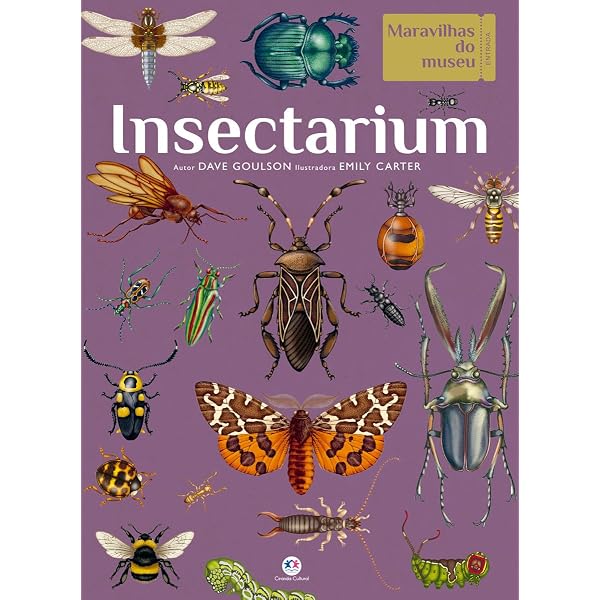 Animalium: Welcome to the Museum | Amazon.com.br