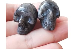Bacatgem 2 Pcs Natural Black Labradorite Mini Crystal Human Skull Figurines,1 Inch Handcarved Crystals and Healing Stone Room Decor Gemstone