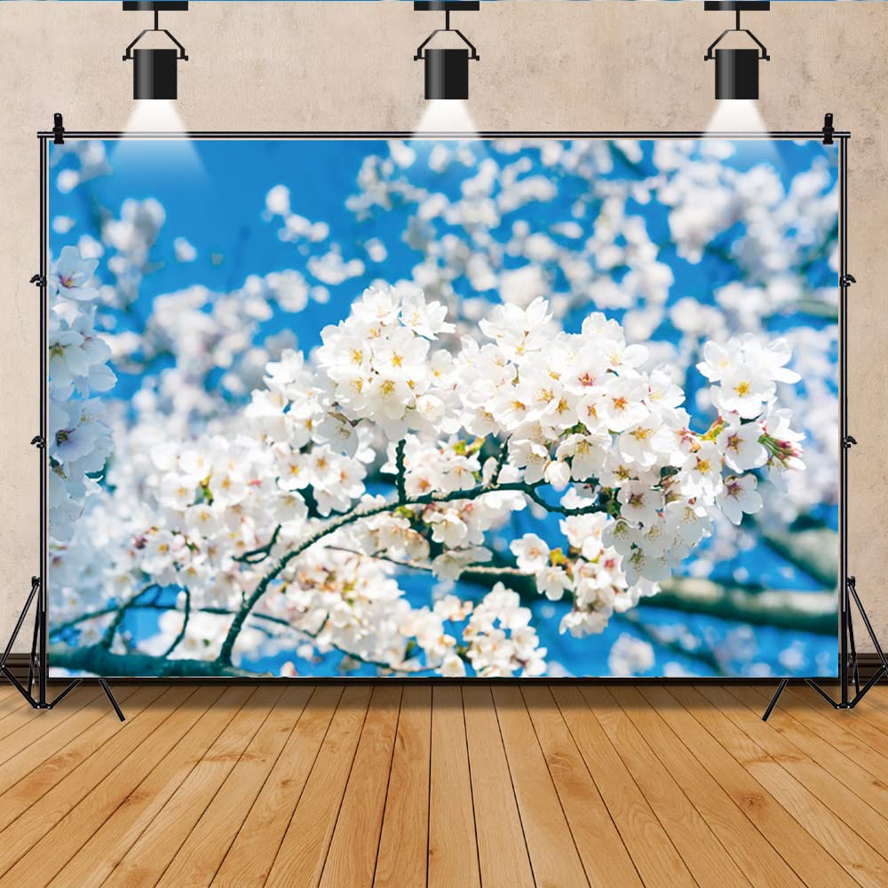 Bovlleetd 10x8ft White Cherry Blossoms Photography Background White Flowers Branches Blue Sky Backdrop Spring Flowers Blooming Natural Scene Photography Backdrop