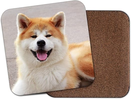 Dessous De Verre Shiba Akita Inu Pour Chien Chiot Japonais