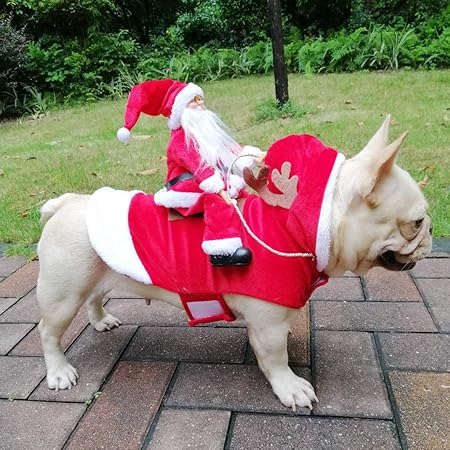 christmas outfits for dogs amazon