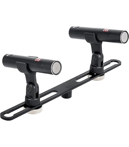 Amazon.com: Rode NT55 Multi-Pattern Instrument Condenser