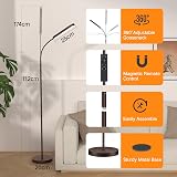 OUTON Bronze LED Floor Lamp 15W 1500LM Dimmer Remote 4 CCT Gooseneck view 7