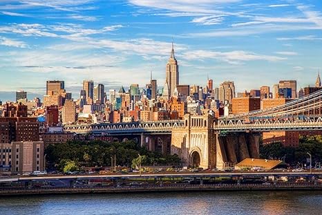 Amazon Co Jp ブルックリン橋の上の晴れた日壁紙 世界の壁紙 キャンバス ステッカー 印刷 壁紙ポスター はがせるシール式 写真 特大 絵画 壁飾り75cmx50cm ホーム キッチン