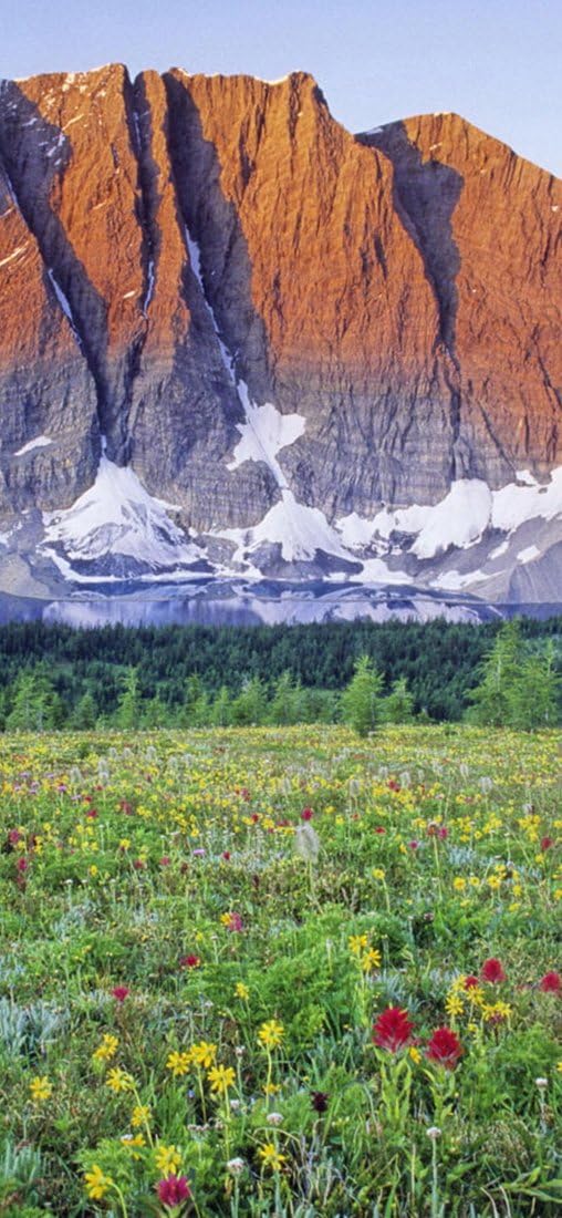 PeelitStickit, Beautiful Nature Wall Murals, ID-1371, vinyl, Multi-colour