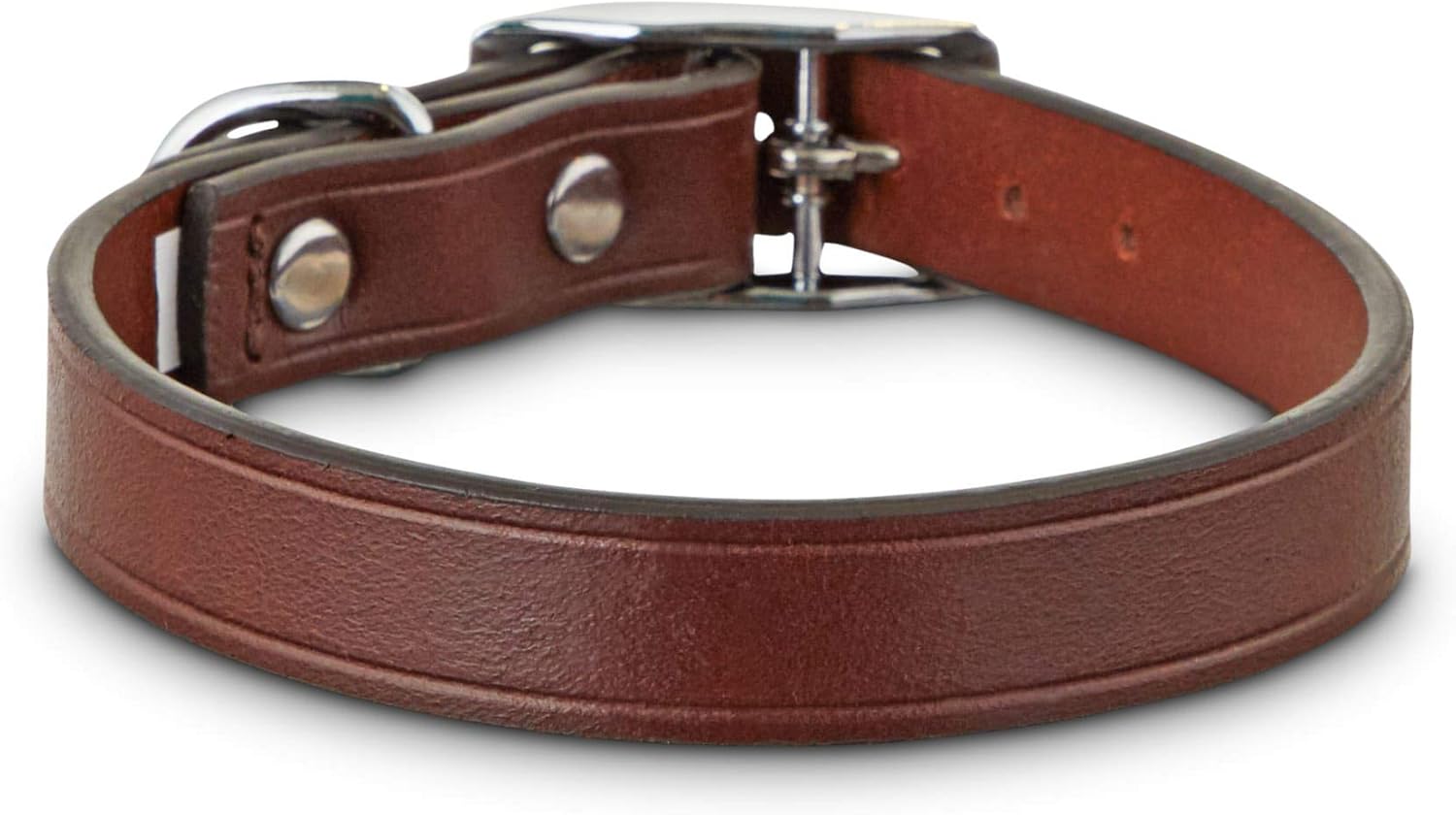 bond and co dog collar
