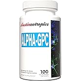 Austinootropics Alpha-GPC, 500mg, 100 Vegetarian Capsules, Daily Nootropic for Mental Performance