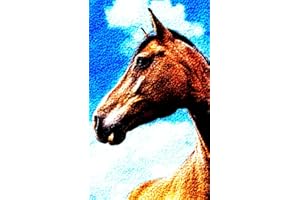 YAKOLECI Latch Hook Kits for Adults, Color Printed DIY Crafts Needlework Arts Rug Sewing Carpet for Home Decoration Festival Gift 23.6''X15.8'' (Brown Horse) (YA-003)