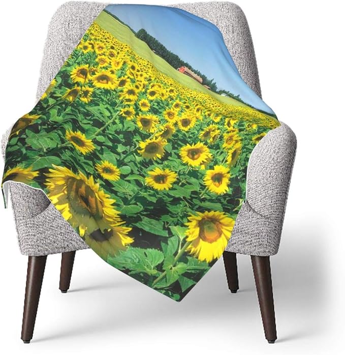 HAYDENHORTON Sunflower Natural Unisex Plush Blankets 30 x