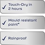 Dulux Weather Shield Quick Dry Satin Paint 750 ml Black view 2
