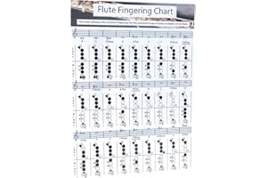 Fayelume Flute Accessories, Flute Chord Chart, 28×21cm Flutes Book, for Flutes Students Who are Beginners to Learn Fingering and Scales