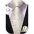 Dubulle Mens Paisley Striped Tie Silk Mens Necktie and PocketSquare Cufflinks Set Wedding Fomral Party