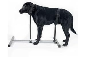 HQSLC Dog Breeding Stand,Stainless Steel Dog Grooming Stand with Collar Adjustable Height and Length,Pet Bath Fixed Bracket (S)