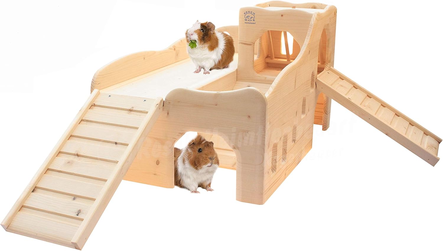 all living things guinea pig chateau