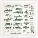 Trail Hankie Fish'n Hankie Bandana - Fish Identification for Fishing, Outdoor Recreation, Neckwear/Face Mask/Handkerchief - Made in the USA, 100% Cotton, Machine Washable, White Bandana