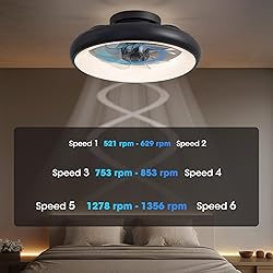 LUDOMIDE Ceiling Fan with Lights, 15" Flush