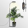GLOWRIUM Grow Lights for Indoor Plants, 20W Full Spectrum LED Grow Light Floor Lamp with Stand Adjustable Height and Angle, Black Plant Light with 3/9/12H Grow Light Timer