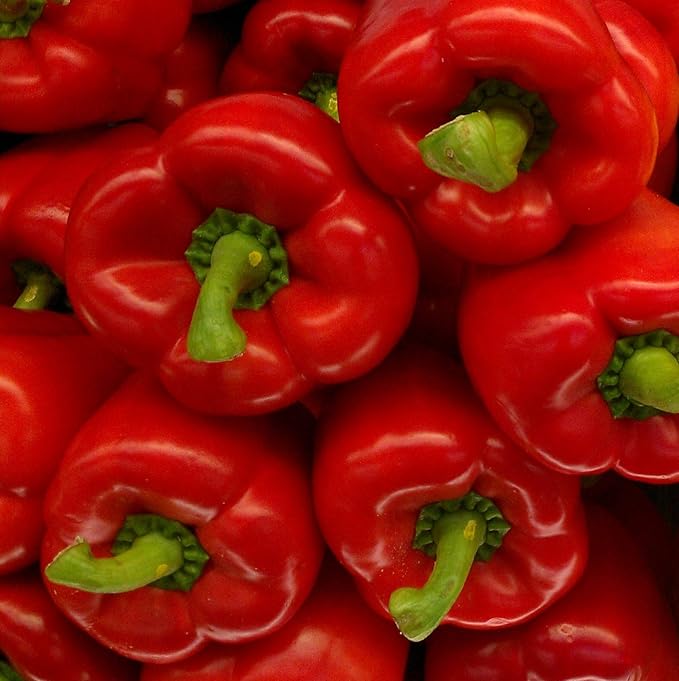Sweet Bell Pepper 20 Seeds (Vegetable/Fruit/Plant) Amazon.co.uk